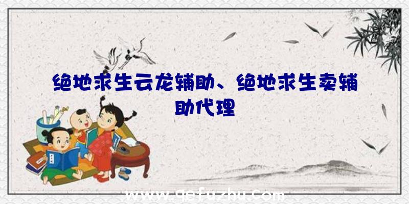 绝地求生云龙辅助、绝地求生卖辅助代理