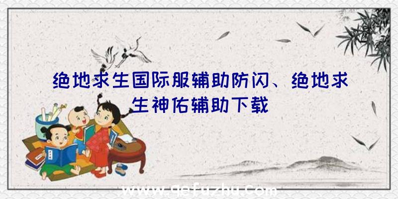 绝地求生国际服辅助防闪、绝地求生神佑辅助下载