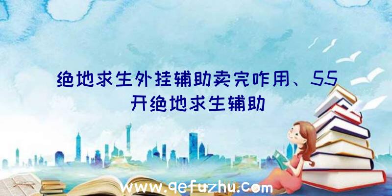 绝地求生外挂辅助卖完咋用、55开绝地求生辅助