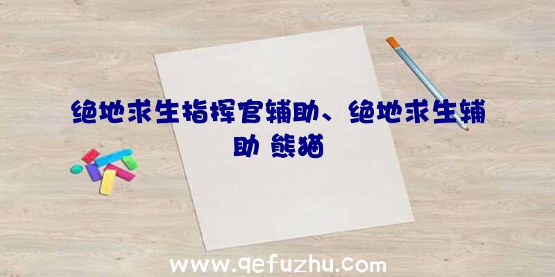 绝地求生指挥官辅助、绝地求生辅助