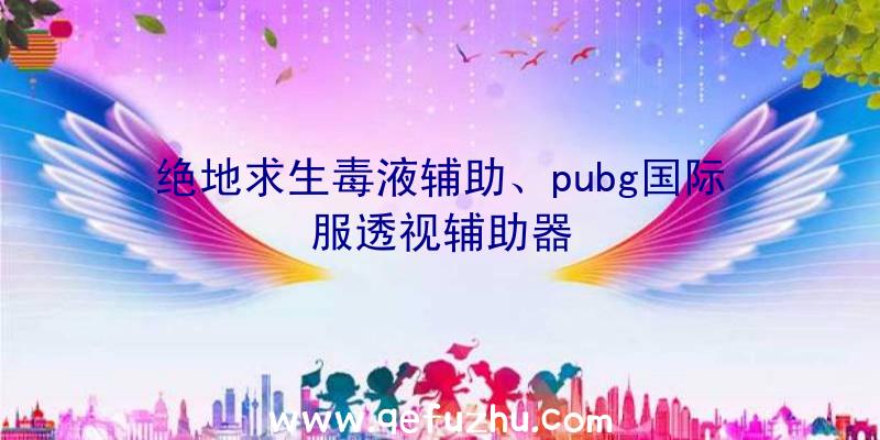 绝地求生毒液辅助、pubg国际服透视辅助器