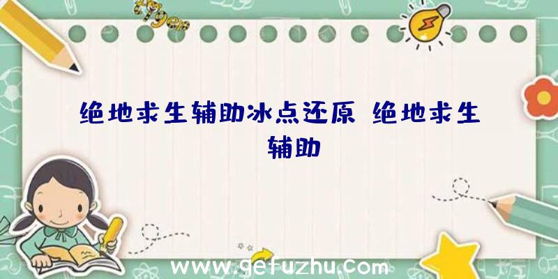 绝地求生辅助冰点还原、绝地求生wk辅助