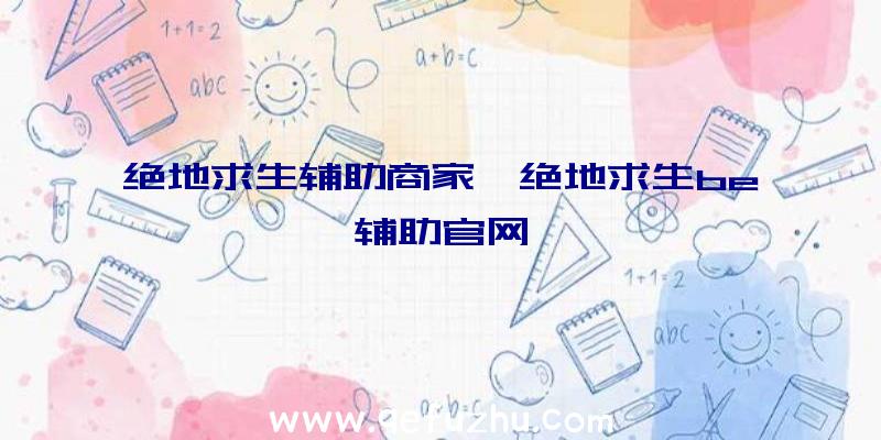 绝地求生辅助商家、绝地求生be辅助官网