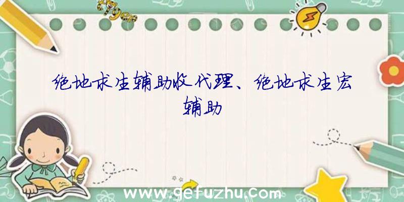 绝地求生辅助收代理、绝地求生宏辅助