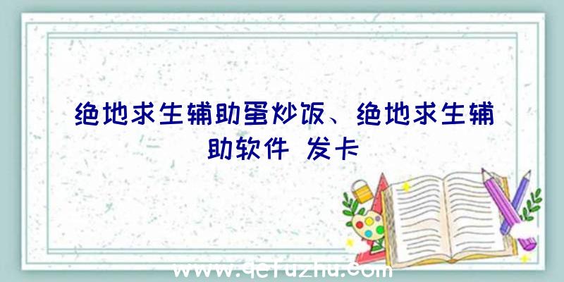 绝地求生辅助蛋炒饭、绝地求生辅助软件