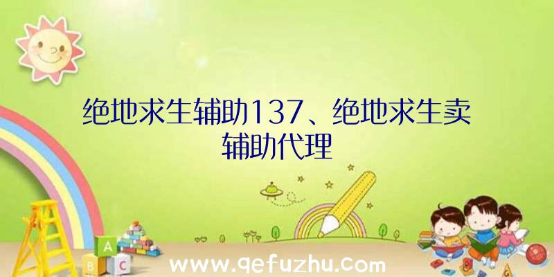 绝地求生辅助137、绝地求生卖辅助代理