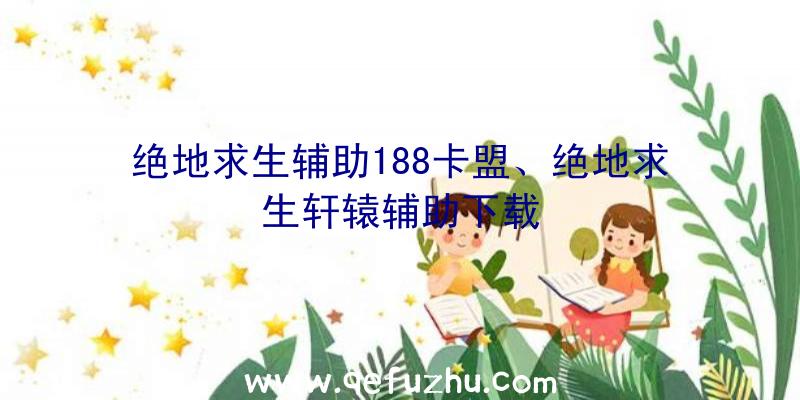 绝地求生辅助188卡盟、绝地求生轩辕辅助下载