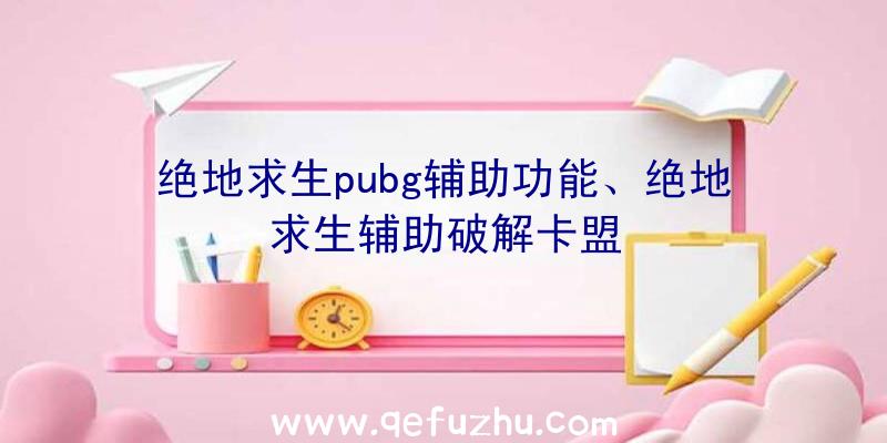 绝地求生pubg辅助功能、绝地求生辅助破解卡盟