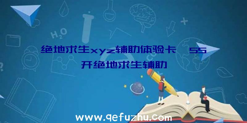 绝地求生xyz辅助体验卡、55开绝地求生辅助