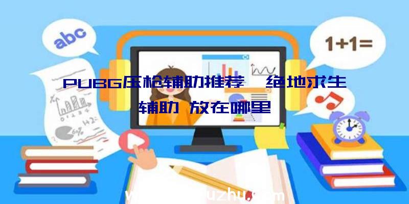 PUBG压枪辅助推荐、绝地求生辅助