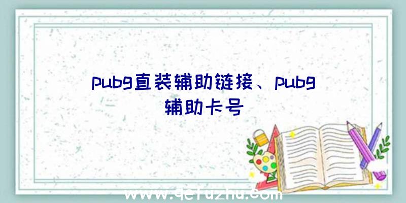 pubg直装辅助链接、pubg辅助卡号