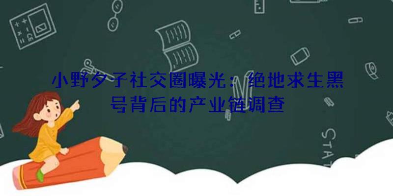 小野夕子社交圈曝光：绝地求生黑号背后的产业链调查