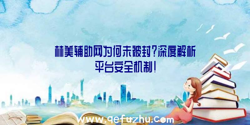林美辅助网为何未被封？深度解析平台安全机制！