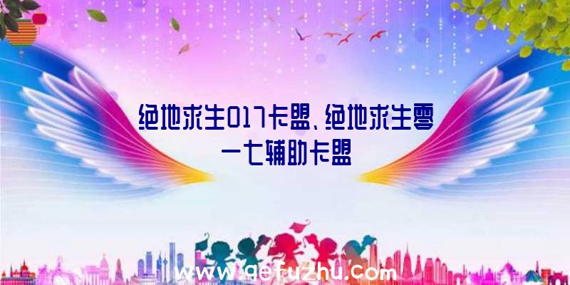 绝地求生017卡盟、绝地求生零一七辅助卡盟