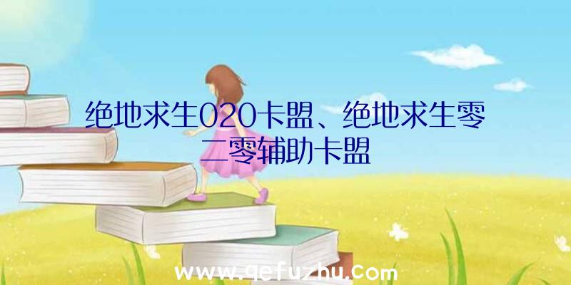 绝地求生020卡盟、绝地求生零二零辅助卡盟