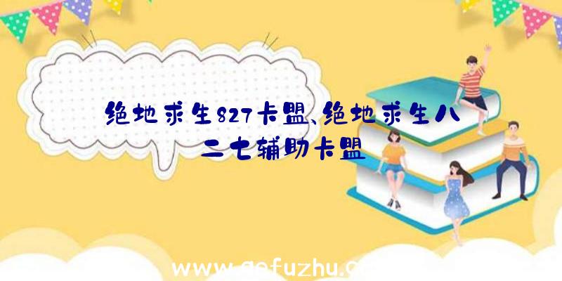 绝地求生827卡盟、绝地求生八二七辅助卡盟