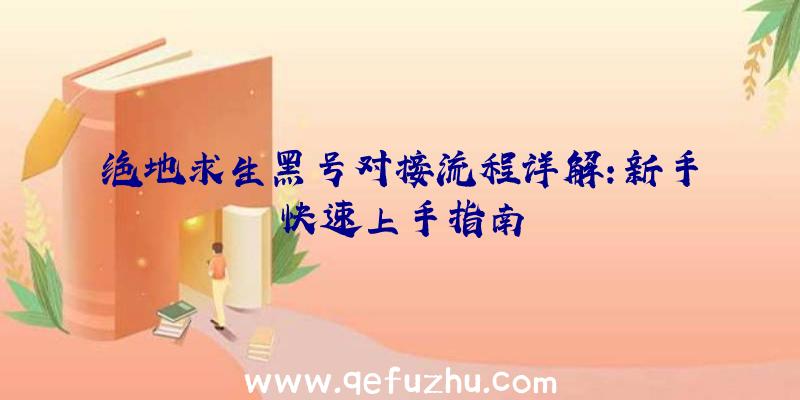 绝地求生黑号对接流程详解：新手快速上手指南