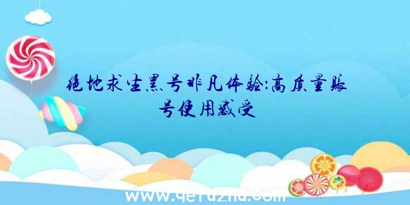 绝地求生黑号非凡体验：高质量账号使用感受