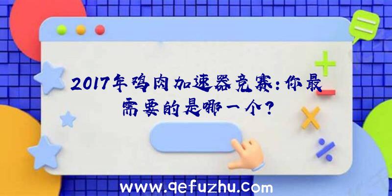 2017年鸡肉加速器竞赛:你最需要的是哪一个？