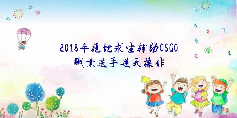 2018年绝地求生辅助CSGO职业选手逆天操作