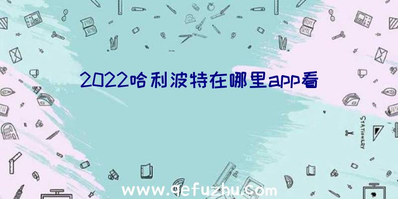 2022哈利波特在哪里app看