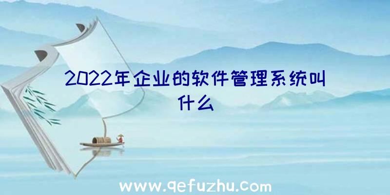 2022年企业的软件管理系统叫什么