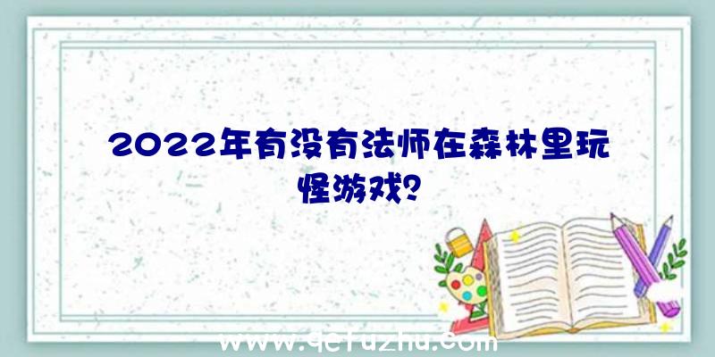 2022年有没有法师在森林里玩怪游戏？