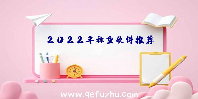 2022年称重软件推荐