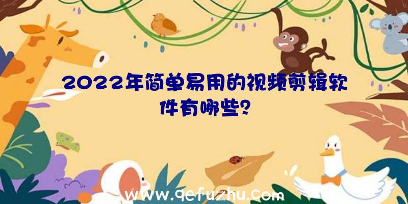 2022年简单易用的视频剪辑软件有哪些？