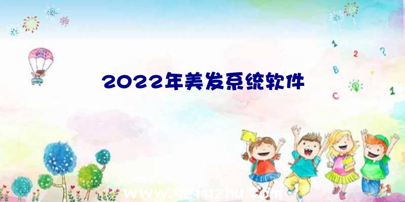 2022年美发系统软件