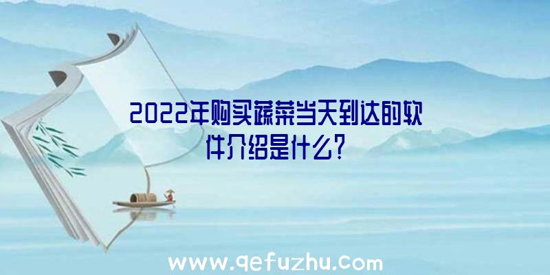 2022年购买蔬菜当天到达的软件介绍是什么？