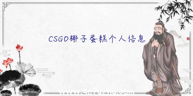 CSGO椰子蛋糕个人信息