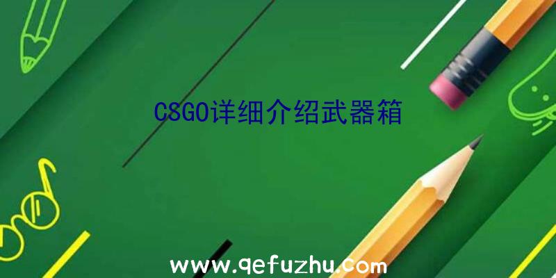 CSGO详细介绍武器箱