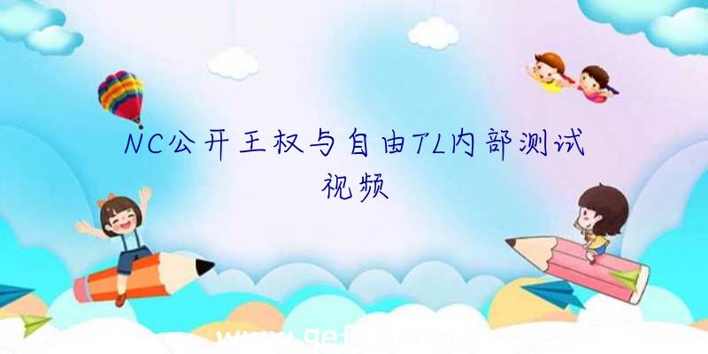 NC公开王权与自由TL内部测试视频