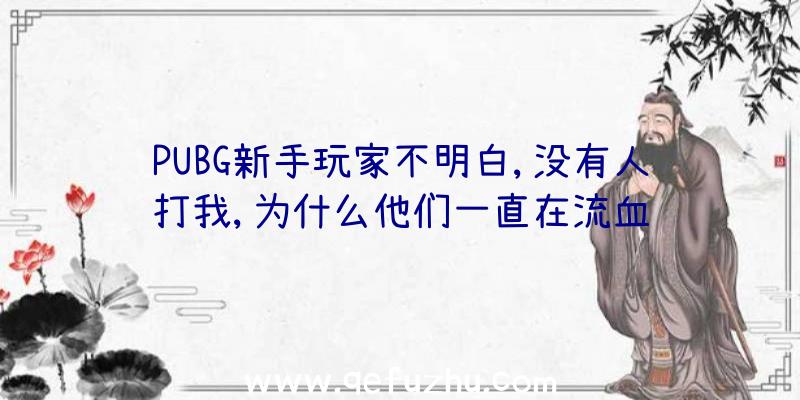 PUBG新手玩家不明白,没有人打我,为什么他们一直在流血