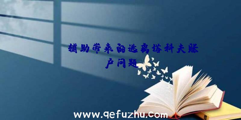 PUBG辅助带来的逃离塔科夫账户问题