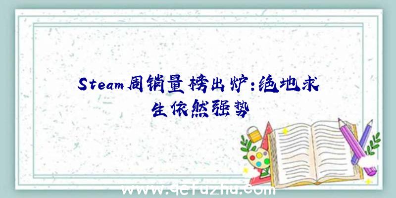 Steam周销量榜出炉:绝地求生依然强势