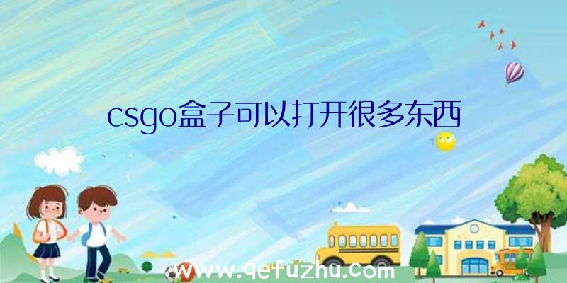 csgo盒子可以打开很多东西