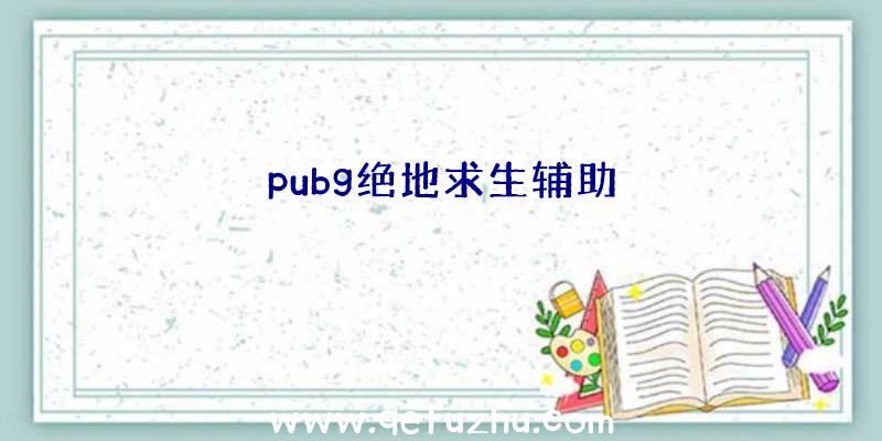 pubg绝地求生辅助