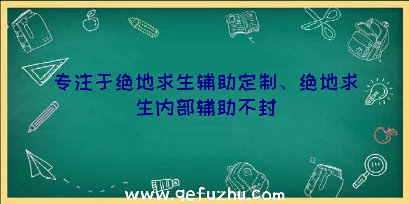 专注于绝地求生辅助定制、绝地求生内部辅助不封