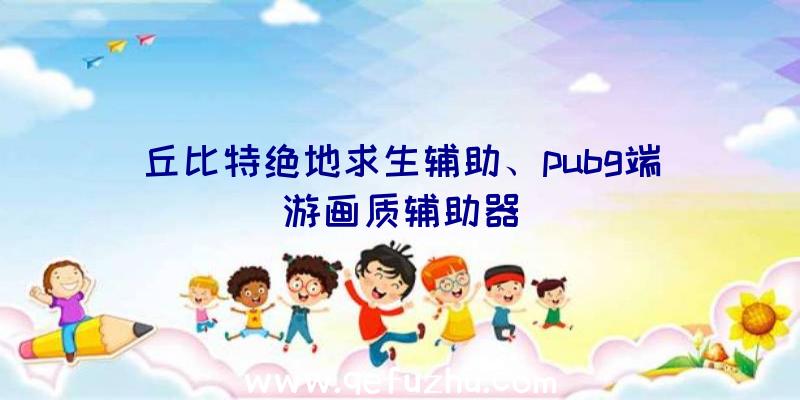 丘比特绝地求生辅助、pubg端游画质辅助器