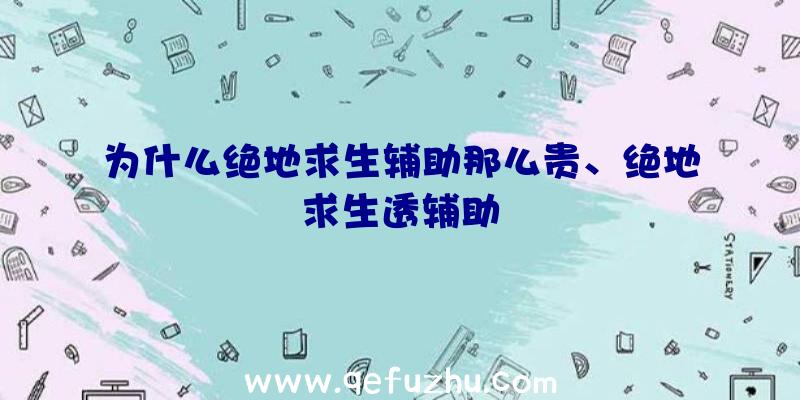 为什么绝地求生辅助那么贵、绝地求生透辅助