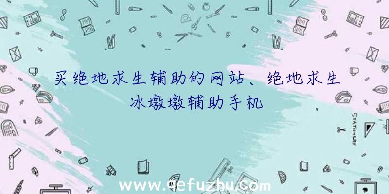 买绝地求生辅助的网站、绝地求生冰墩墩辅助手机