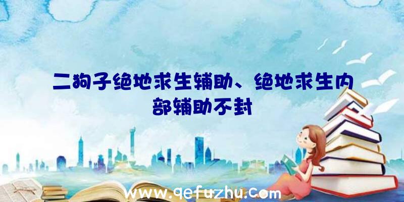 二狗子绝地求生辅助、绝地求生内部辅助不封