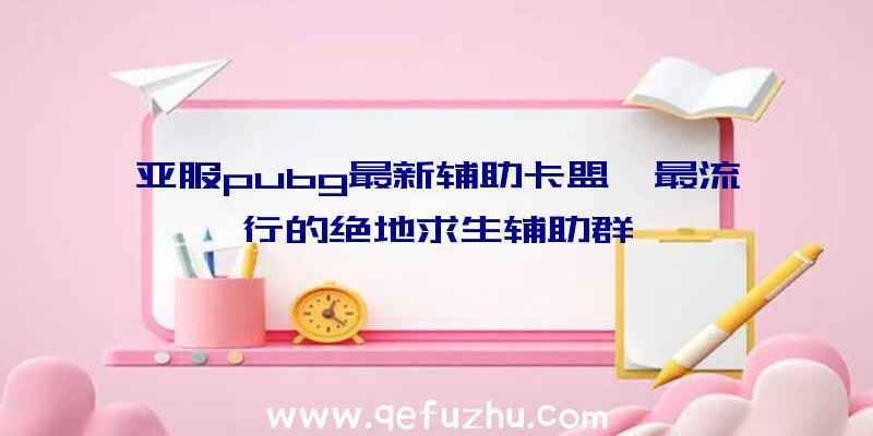 亚服pubg最新辅助卡盟、最流行的绝地求生辅助群