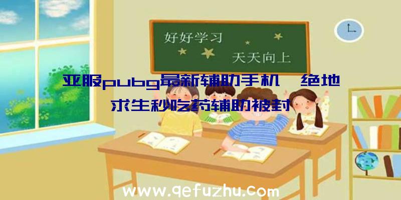 亚服pubg最新辅助手机、绝地求生秒吃药辅助被封