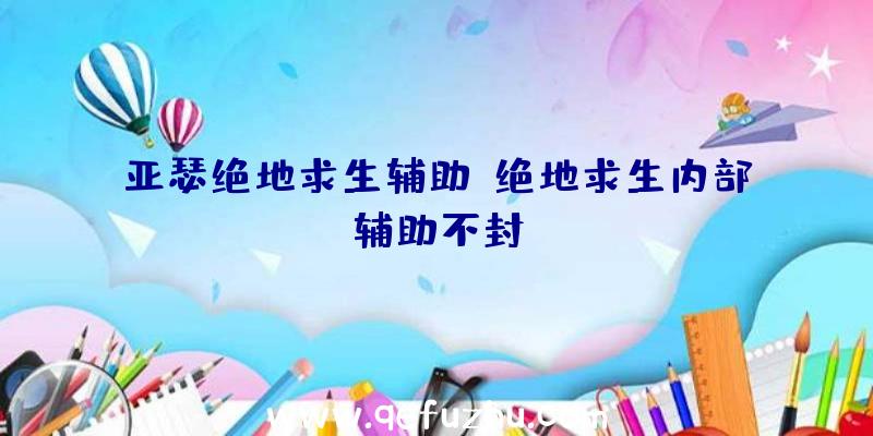 亚瑟绝地求生辅助、绝地求生内部辅助不封