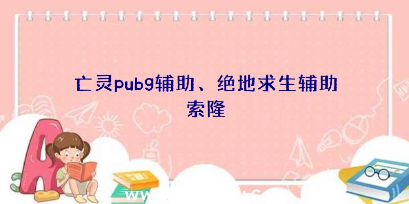 亡灵pubg辅助、绝地求生辅助索隆