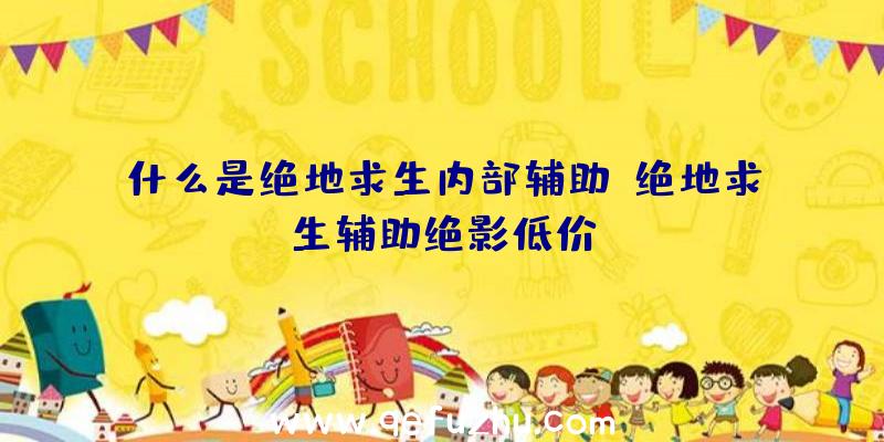 什么是绝地求生内部辅助、绝地求生辅助绝影低价