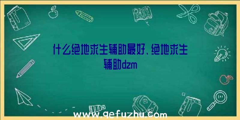 什么绝地求生辅助最好、绝地求生辅助dzm